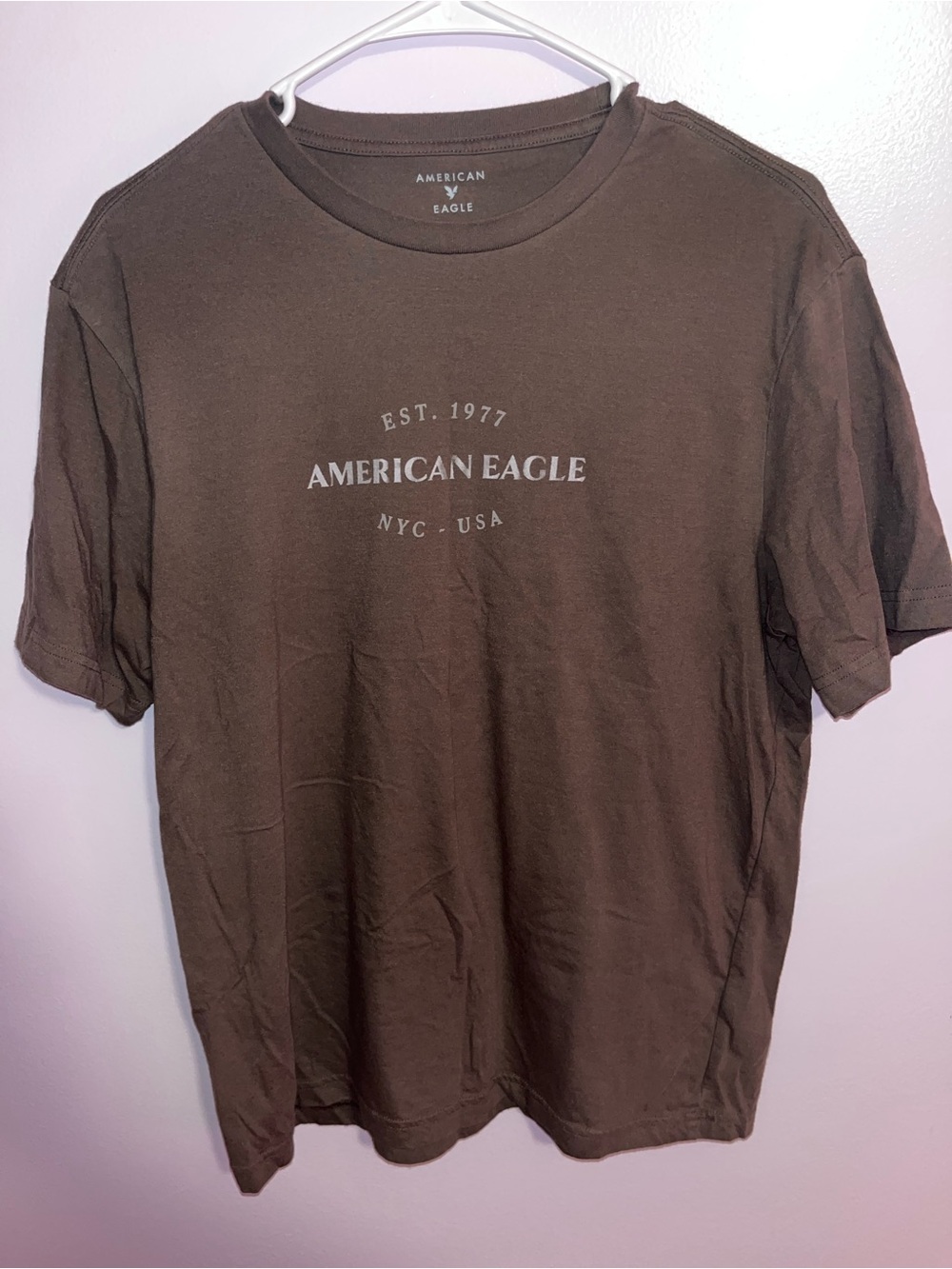 American Eagle Outfitters Brown Short Sleeve Logo Tee